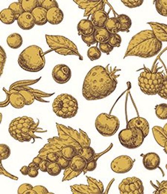 OXF BAS PRT FGR 57-1 OFF WHITE