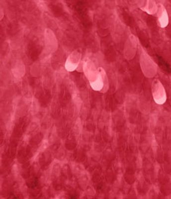 PAETE LACRIMA VERMELHO