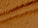 IMAGE_L