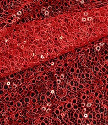 PAETE CHARME LUX GOLD RUBRO CALIENTE