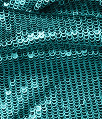 PAETE SCRIPTUS AZULEJO