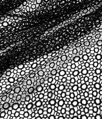 GUIPIR VERCELLI PRETO