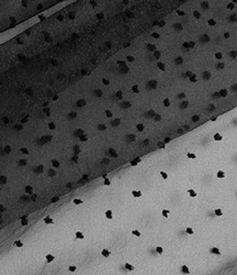 ORGANZA PLUMETIS PRETO