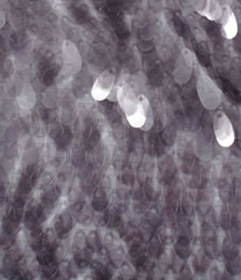 PAETE LACRIMA GRANITO