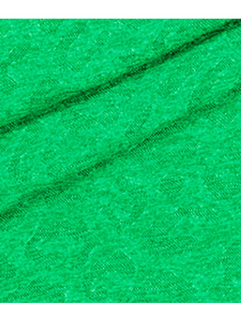 IMAGE_T