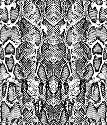 VELBOA PRT BCH 5-1 PRETO