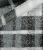 IMAGE_T