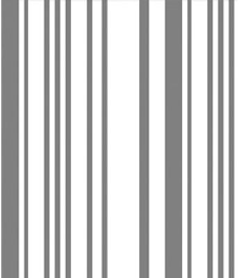 CAM BUS NEW LST 41-1 PRETO