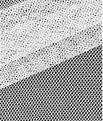 IMAGE_T
