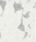 IMAGE_T
