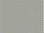 IMAGE_L
