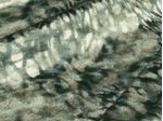 IMAGE_L