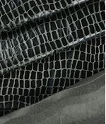 IMAGE_T