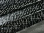 IMAGE_L