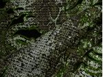 IMAGE_L