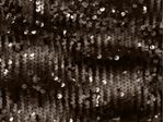 IMAGE_L