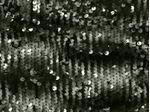 IMAGE_L
