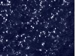 IMAGE_L
