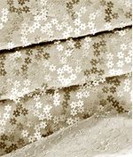 IMAGE_T