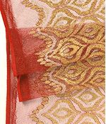 IMAGE_T