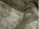 IMAGE_L