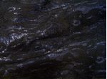 IMAGE_L