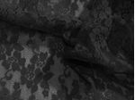 IMAGE_L