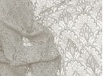 IMAGE_L