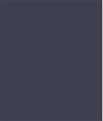 IMAGE_T