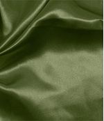 IMAGE_T