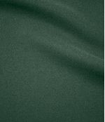 IMAGE_T