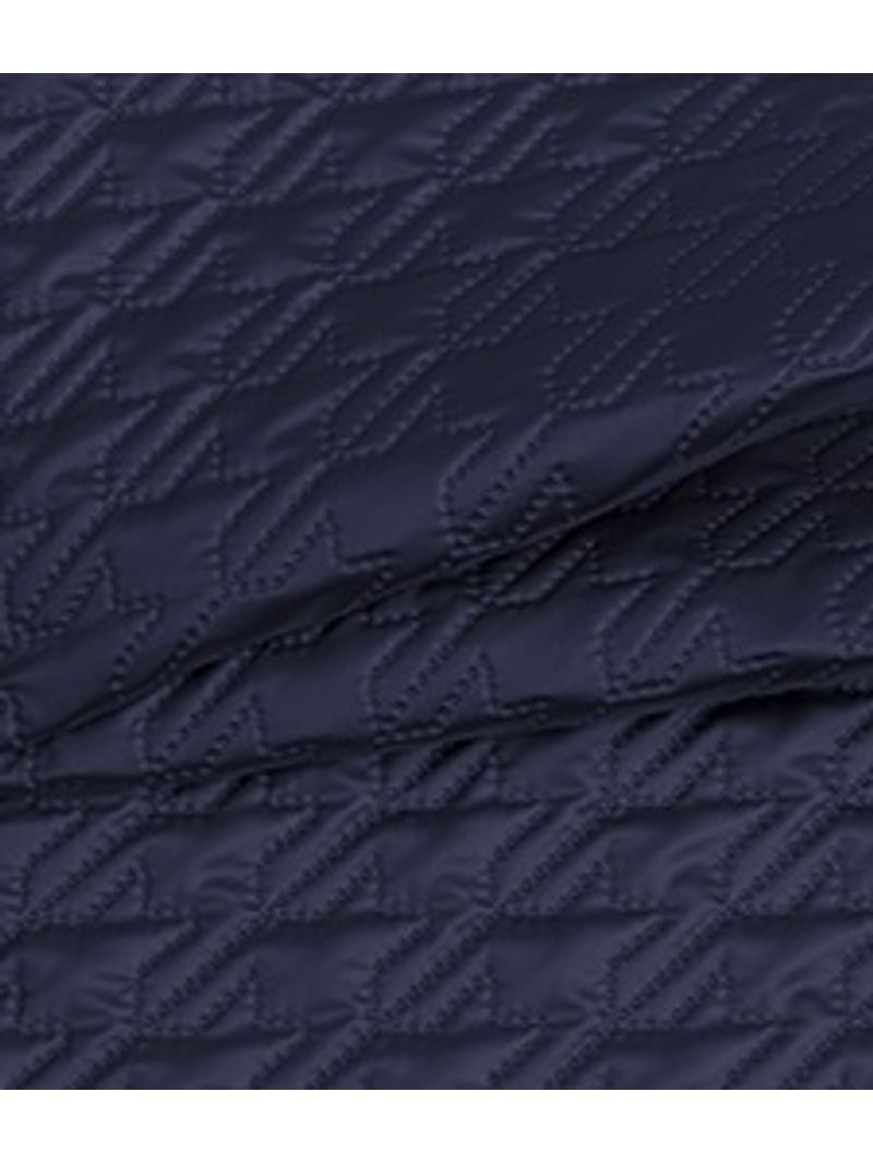 IMAGE_T