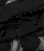 IMAGE_T
