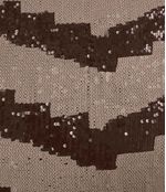 IMAGE_T