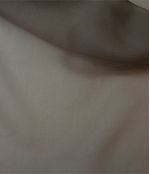 IMAGE_T