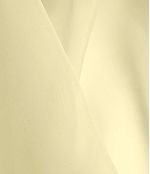 IMAGE_T