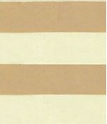 IMAGE_T
