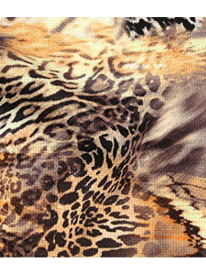 IMAGE_T