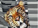 IMAGE_L