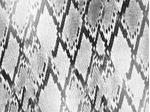 IMAGE_L