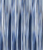 IMAGE_T
