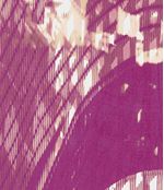 IMAGE_T