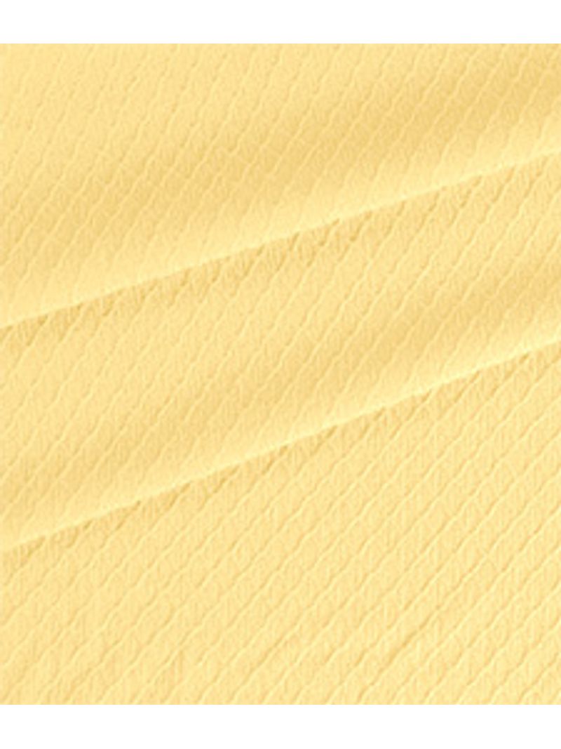 IMAGE_T