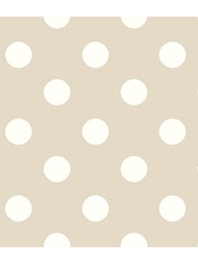 IMAGE_T
