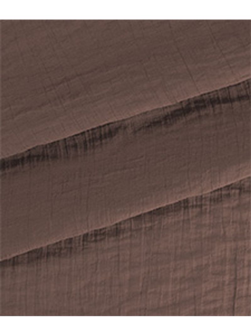 IMAGE_T