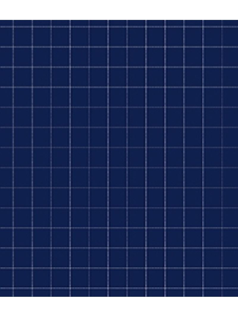 IMAGE_T