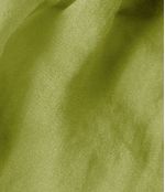 IMAGE_T