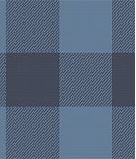 IMAGE_T