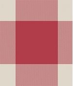 IMAGE_T