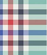 IMAGE_T